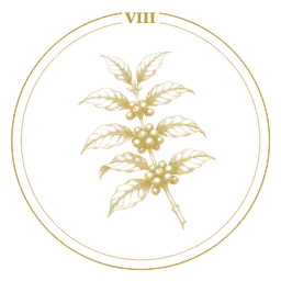 Coffee plant sigil